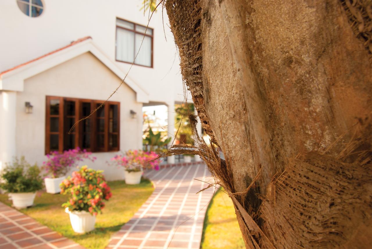 Herdmanston Lodge Hotel Georgetown Dış mekan fotoğraf